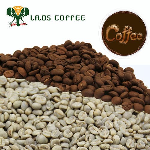 Roasted Coffee Beans of Arabica Grade AA Roasted Coffee